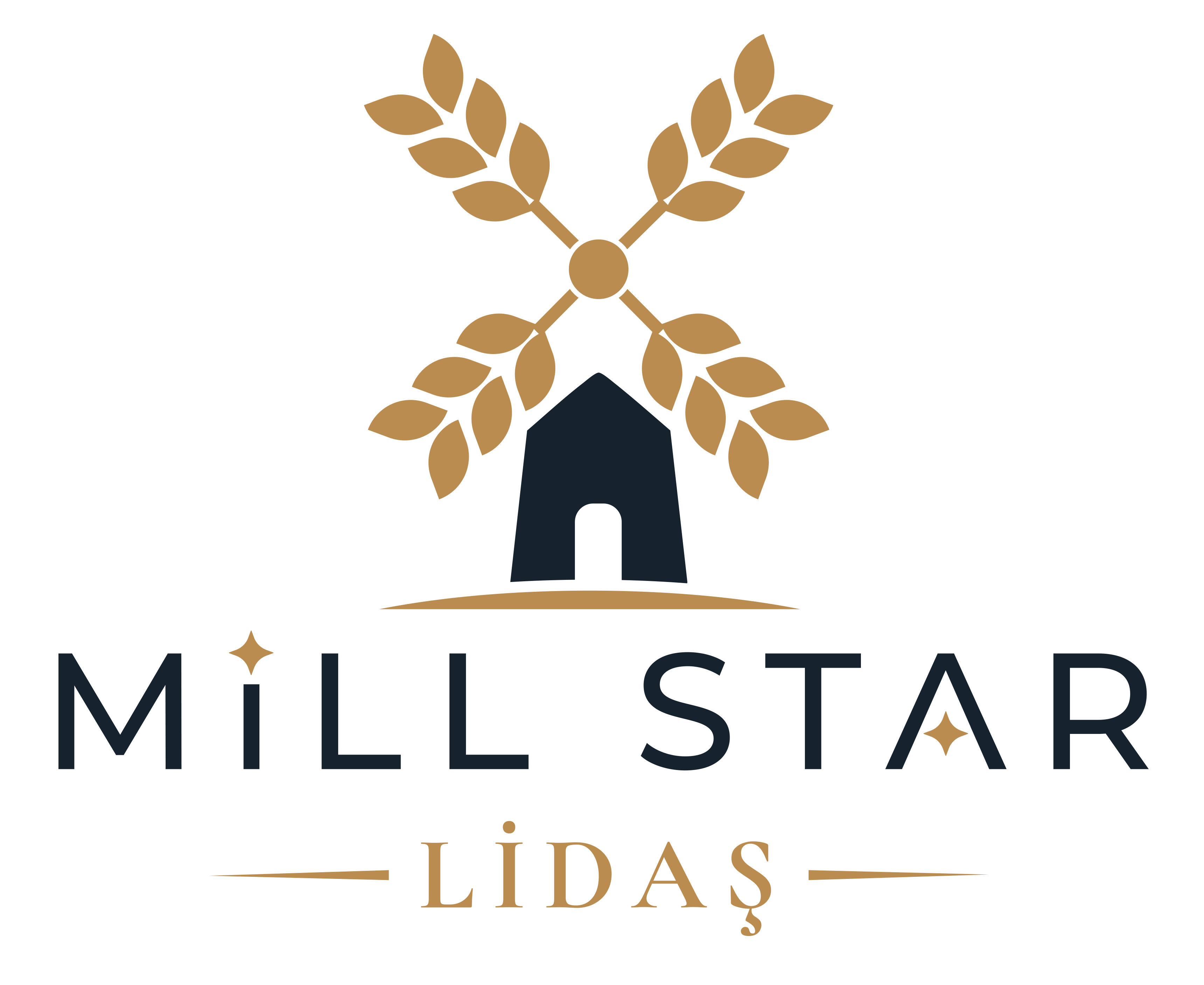 Millstar Lidaş